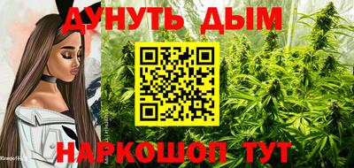 мдпв Краснознаменск