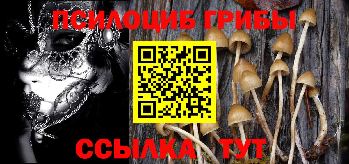 Воронеж  Псилоцибиновые грибы мухоморы  Вход с VPN 